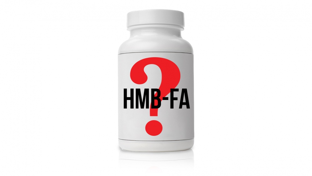 Supplement Research Update: HMB-FA