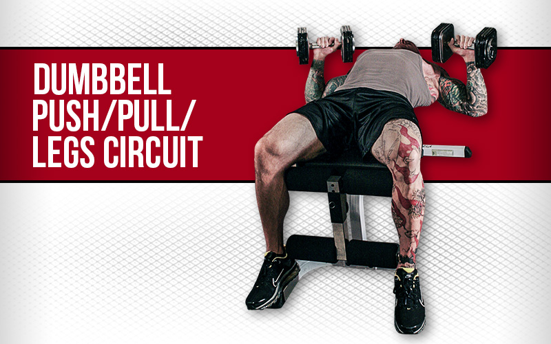 Dumbbell Push/Pull/Legs Circuit