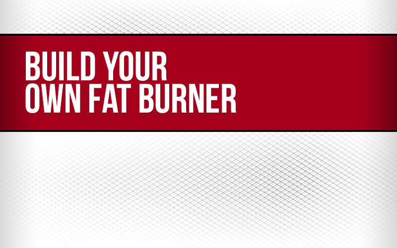 Build Your Own Fat Burner