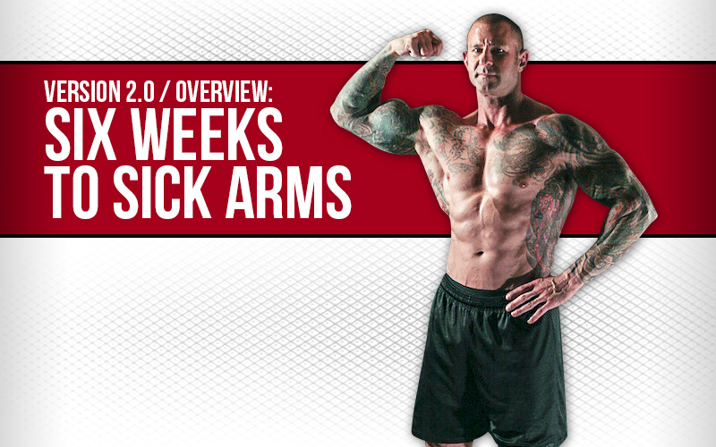 SIX WEEKS TO SICK ARMS: OVERVIEW