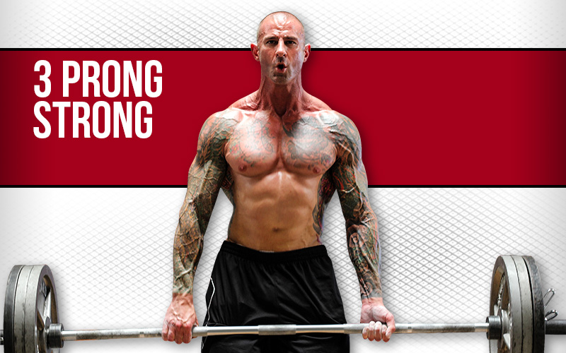 3 Prong Strong Program Overview