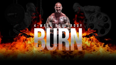 4 Week Full Body Burn