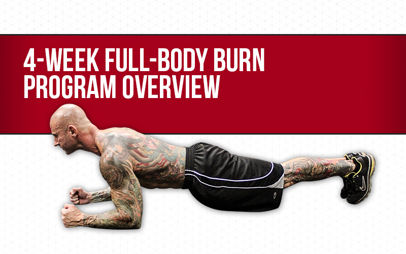 4 week full body burn program
