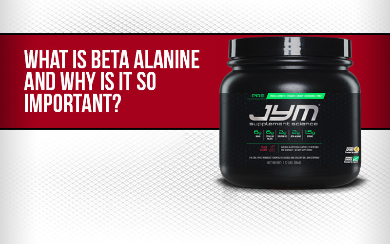 What is Beta Alanine and Why is it So Important?