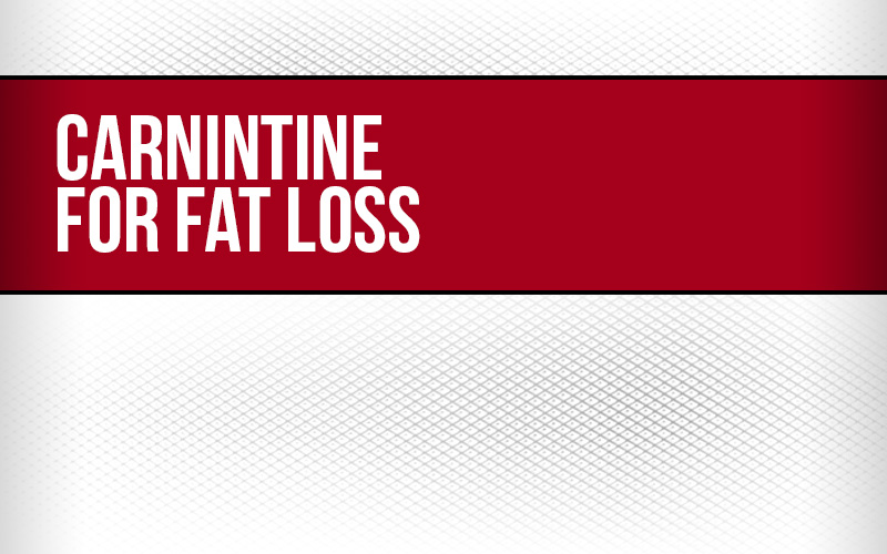 Carnitine For Fat Loss