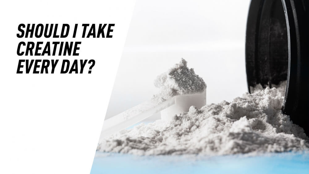 Should You Take Creatine Every Day? Here's Why You Should!