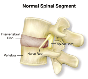 Weights Before Cardio For Less Back Pain